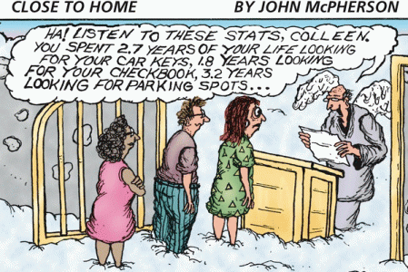 Professional Organizer 